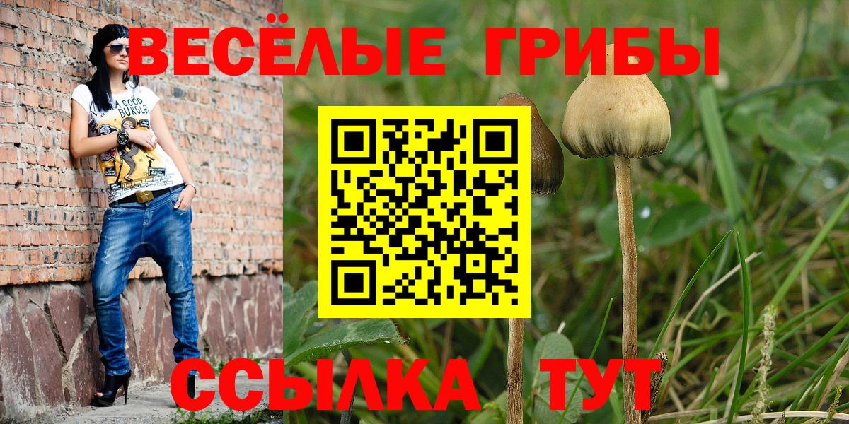 Заречный  Псилоцибиновые грибы мухоморы  Вход с VPN 