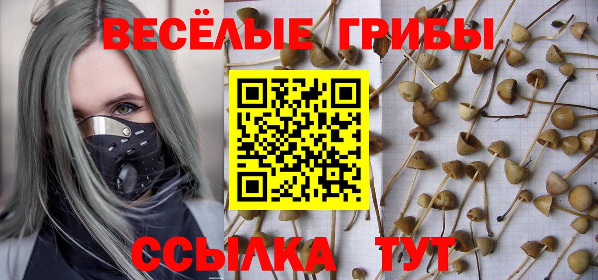 Псилоцибиновые грибы мухоморы Заречный