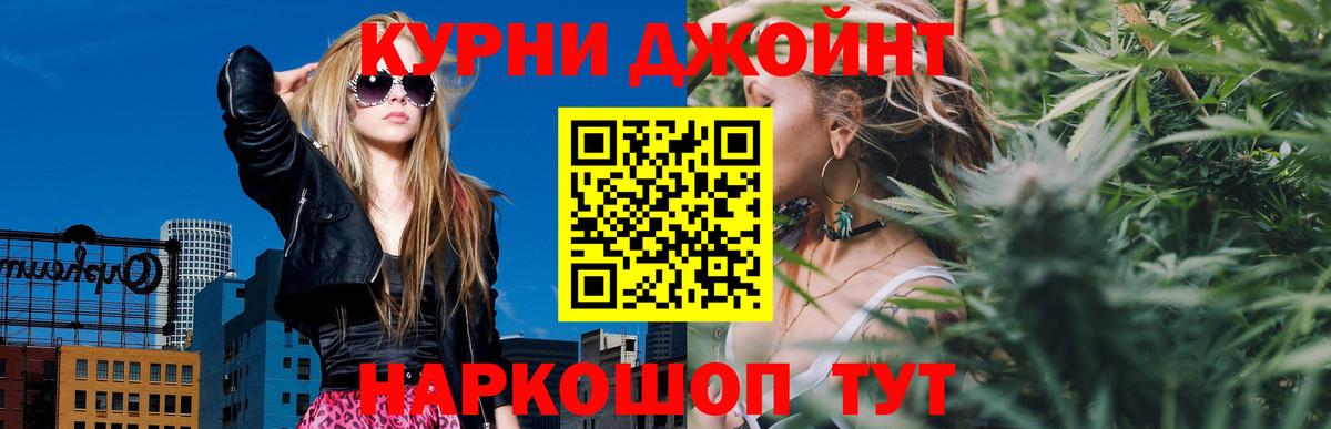 Бошки Шишки ГИДРОПОН  Вход с VPN  Каннабис гибрид  Заречный 
